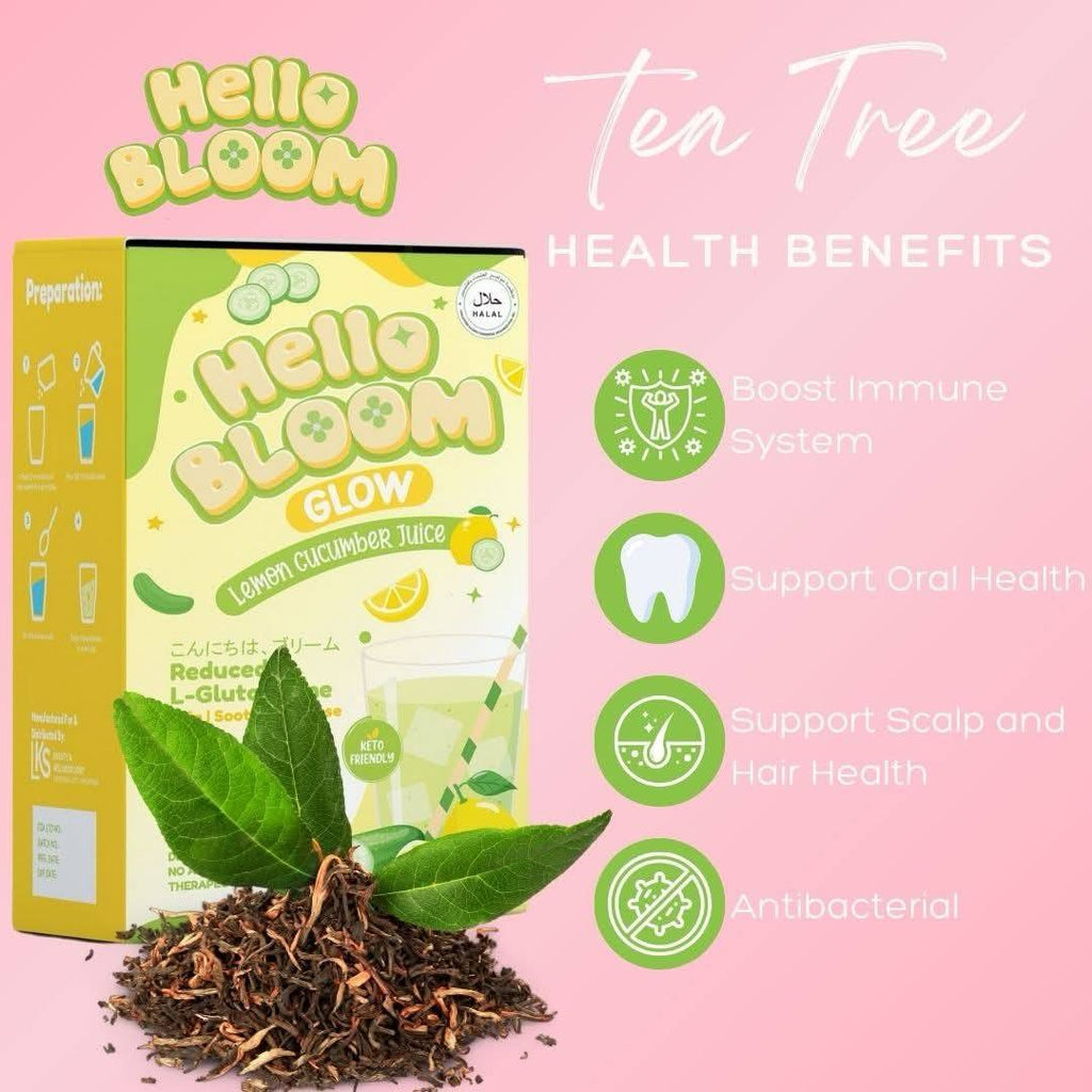 Hello Bloom Gleam, Glow Glam Beauty & Weight Management Drink Powdered Mix 10 Sachets in a Box glow lemon cucumber debsline.co