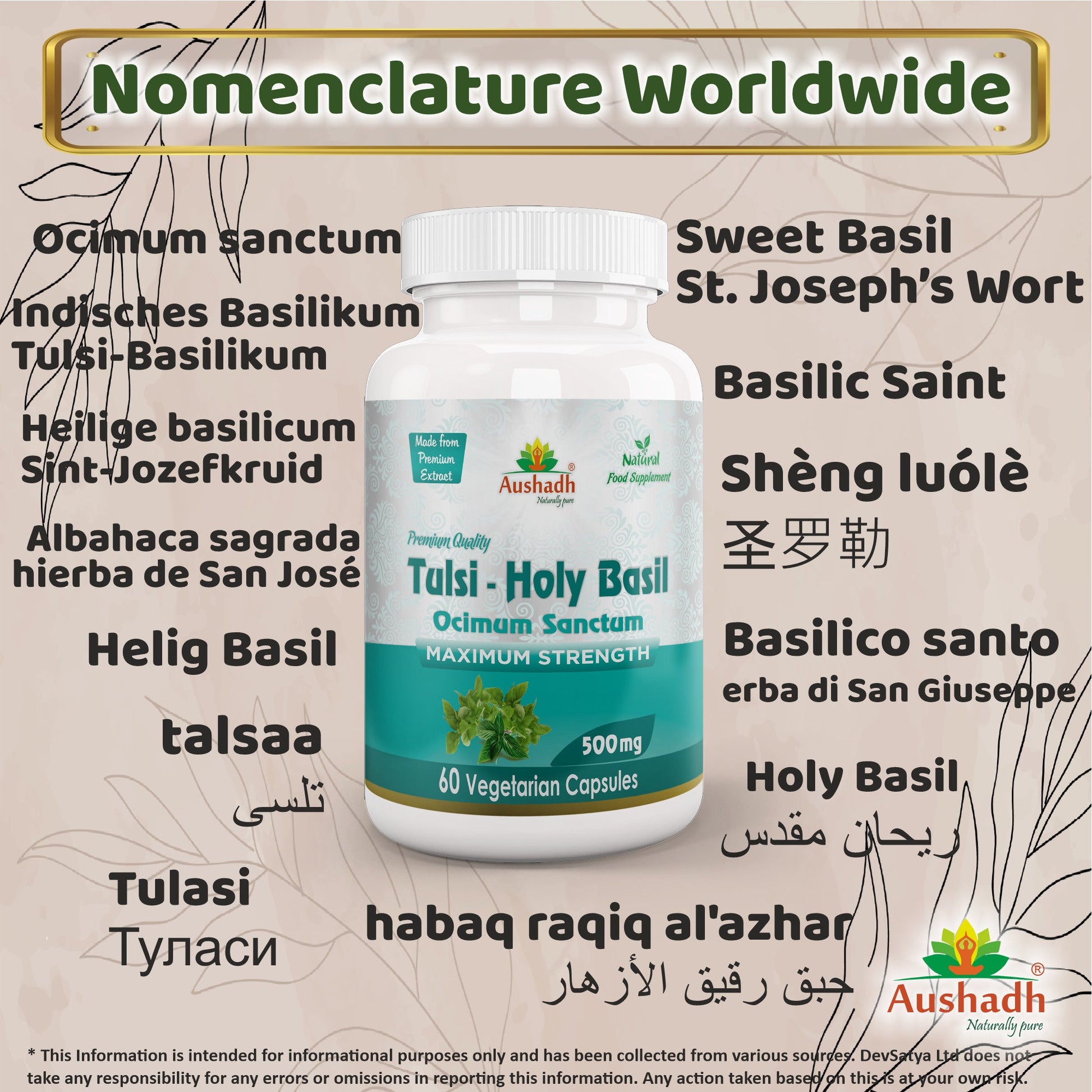 Holy Basil (Tulsi) Capsule-2