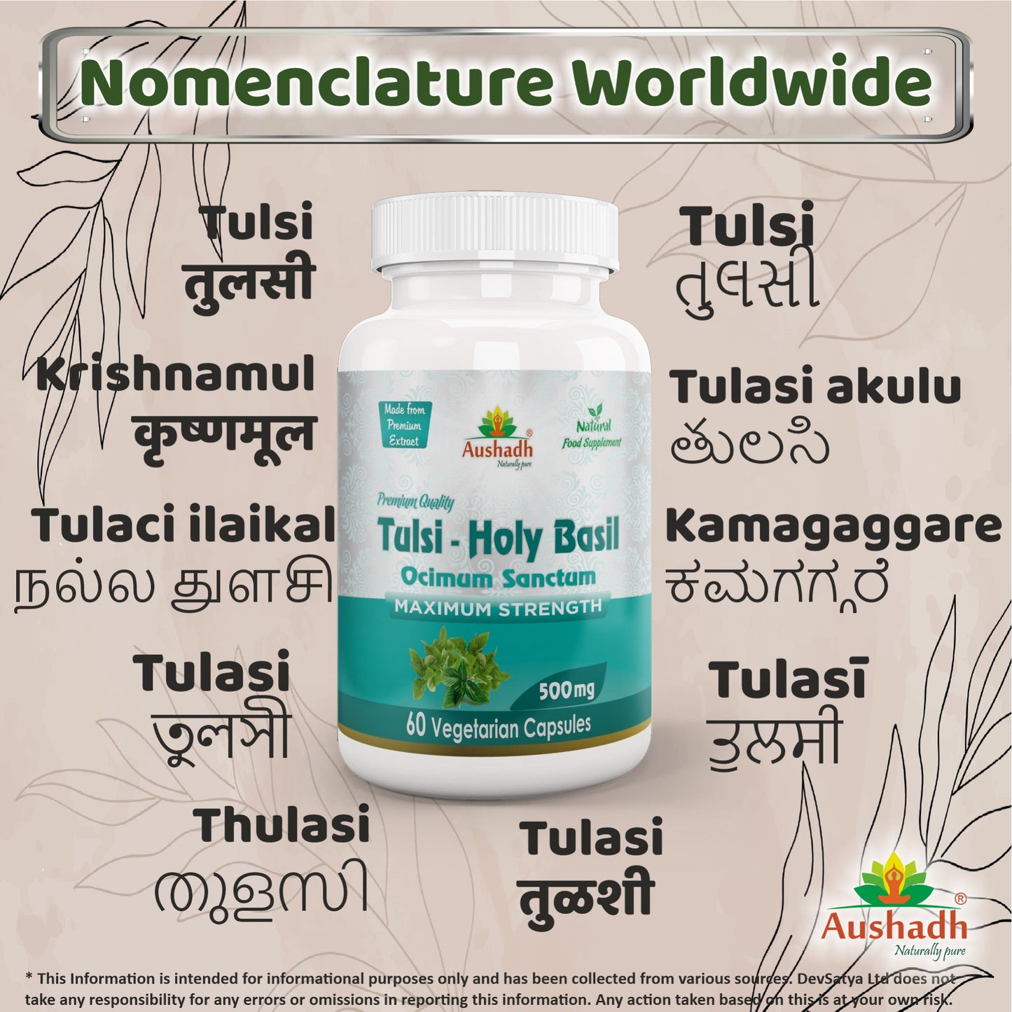 Holy Basil (Tulsi) Capsule-3